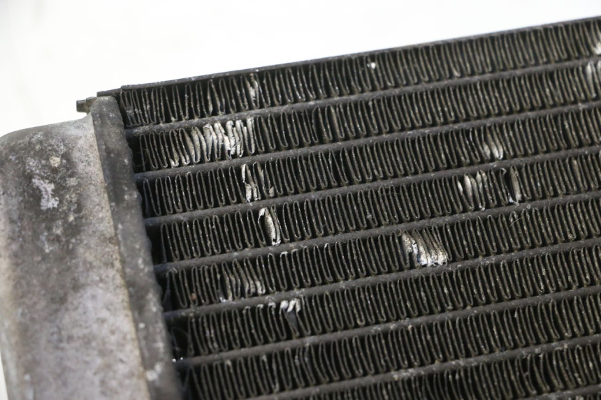 photo de RADIATEUR YAMAHA YP MAJESTY 125 (1998 - 2001) - Autre angle de vue