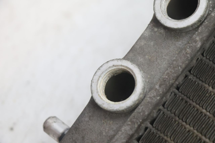 photo de RADIATEUR YAMAHA YP MAJESTY 125 (2002 - 2006) - Zoom état d’usage