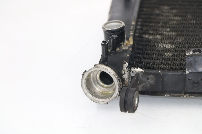 photo de RADIATEUR YAMAHA YZF R THUNDERCAT 600 (1999 - 2003)