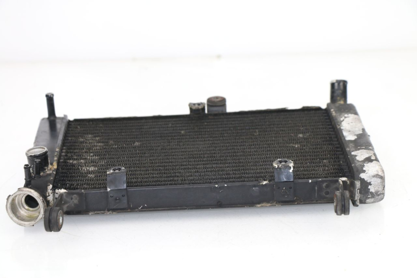 photo de RADIATEUR YAMAHA YZF R THUNDERCAT 600 (1999 - 2003)