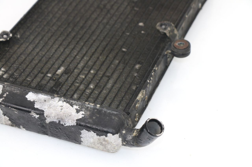 photo de RADIATEUR YAMAHA YZF R THUNDERCAT 600 (1999 - 2003)