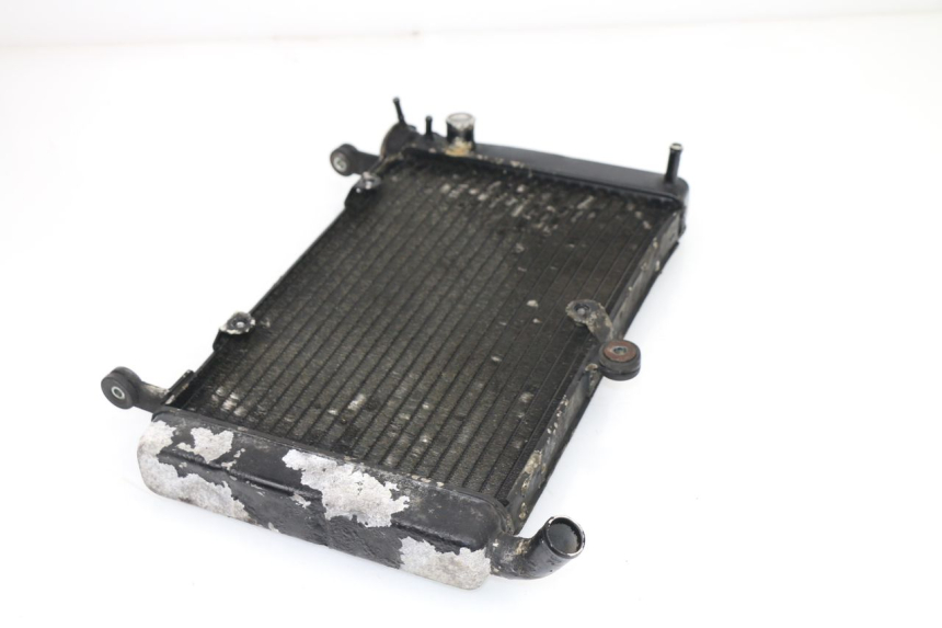 photo de RADIATEUR YAMAHA YZF R THUNDERCAT 600 (1999 - 2003)