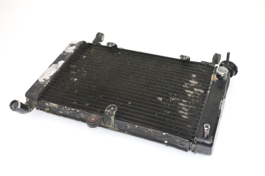 photo de RADIATEUR YAMAHA YZF R THUNDERCAT 600 (1999 - 2003)