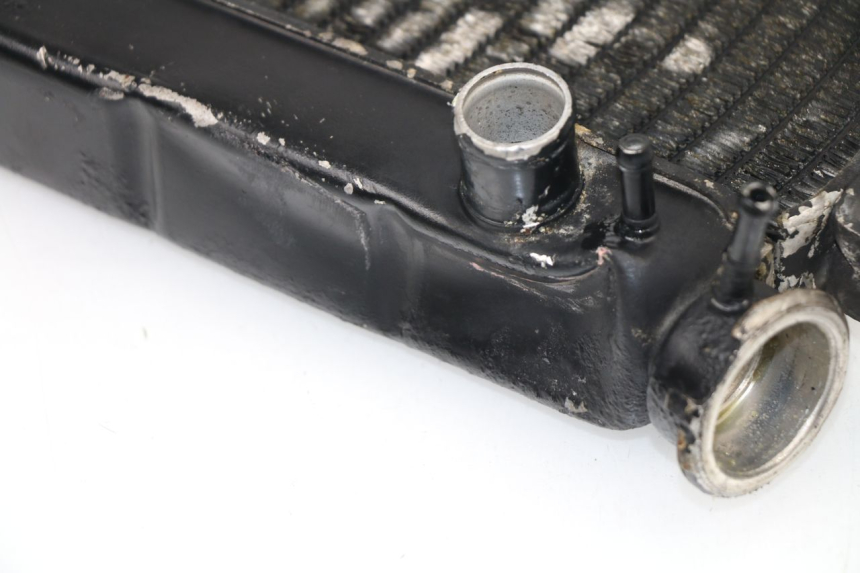 photo de RADIATEUR YAMAHA YZF R THUNDERCAT 600 (1999 - 2003)