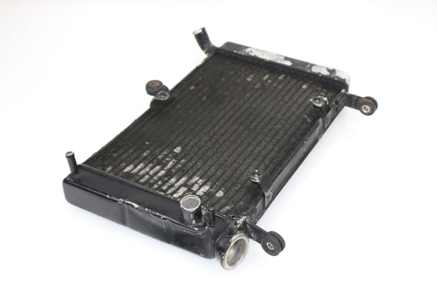 photo de RADIATEUR YAMAHA YZF R THUNDERCAT 600 (1999 - 2003)