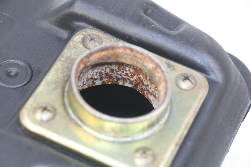 photo de RESERVOIR ESSENCE PGO BIG MAX 50 (2001 - 2009) - Vue d’ensemble