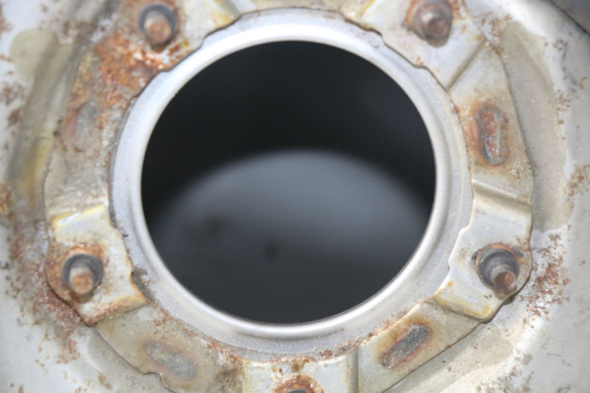 photo de RESERVOIR ESSENCE HONDA NSS EX FORZA 250 (2005 - 2013)