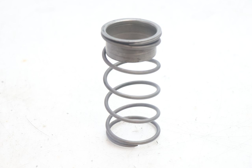 photo de RESSORT POUSSEE PIAGGIO LIBERTY 50 (1998 - 2003) - Vue principale