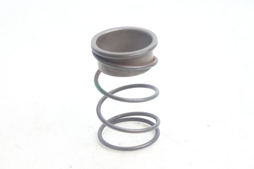 photo de RESSORT POUSSEE PEUGEOT LUDIX PRO 2T 50 (2010 - 2017) - Vue principale