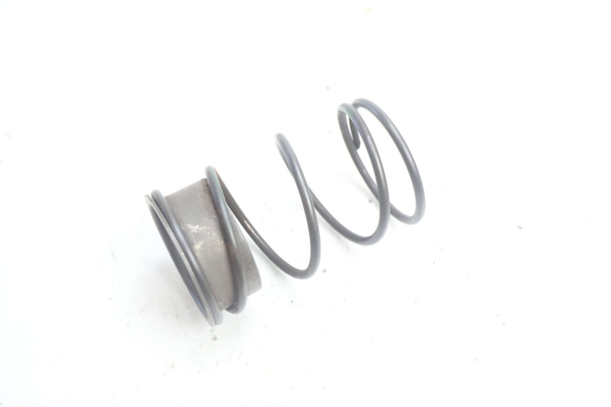 photo de RESSORT POUSSEE PEUGEOT LUDIX PRO 2T 50 (2010 - 2017) - Zoom état d’usage