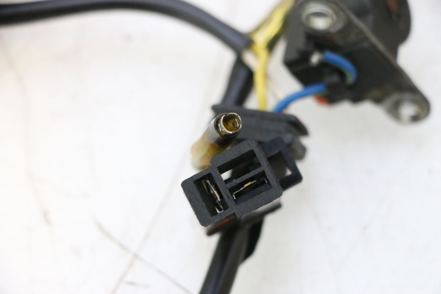 photo de ROTOR STATOR KYMCO AGILITY PREMIUM 50 (2007 - 2010) - Vue d’ensemble