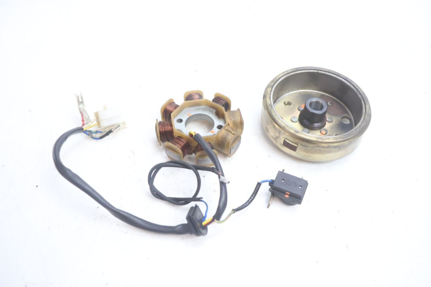 photo de ROTOR STATOR MASH CITY 4T 50 (2018 - 2020) - Détail de la pièce