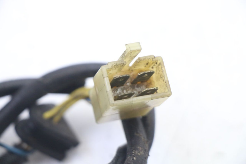 photo de ROTOR STATOR PEUGEOT ELYSEO 125 (1999 - 2004)