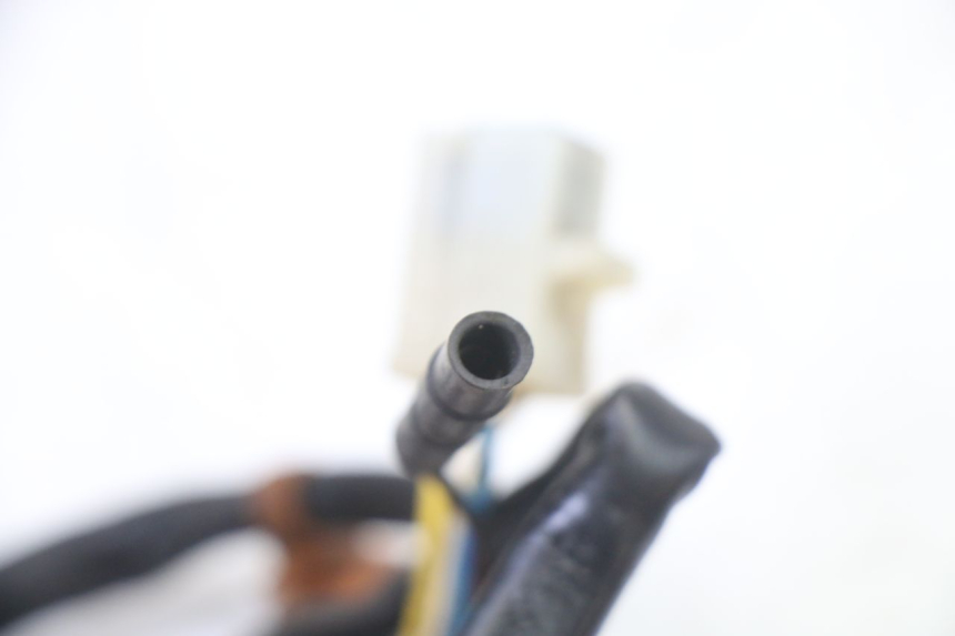 photo de ROTOR STATOR PEUGEOT ELYSTAR 50 (2002 - 2014)