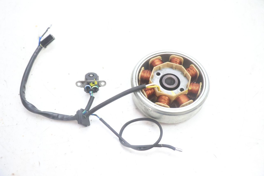 photo de ROTOR STATOR JM MOTORS EVOLIS 4T 50 (2018 - 2022) - Zoom état d’usage