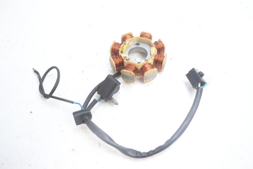 photo de ROTOR STATOR JM MOTORS EVOLIS 4T 50 (2018 - 2022) - Autre angle de vue