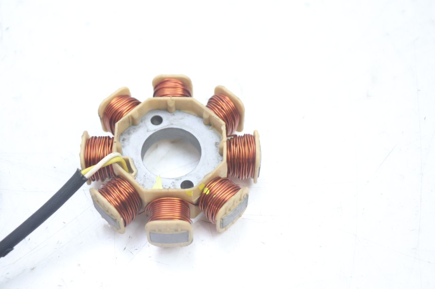 photo de ROTOR STATOR JM MOTORS EVOLIS 4T 50 (2018 - 2022) - Gros plan technique