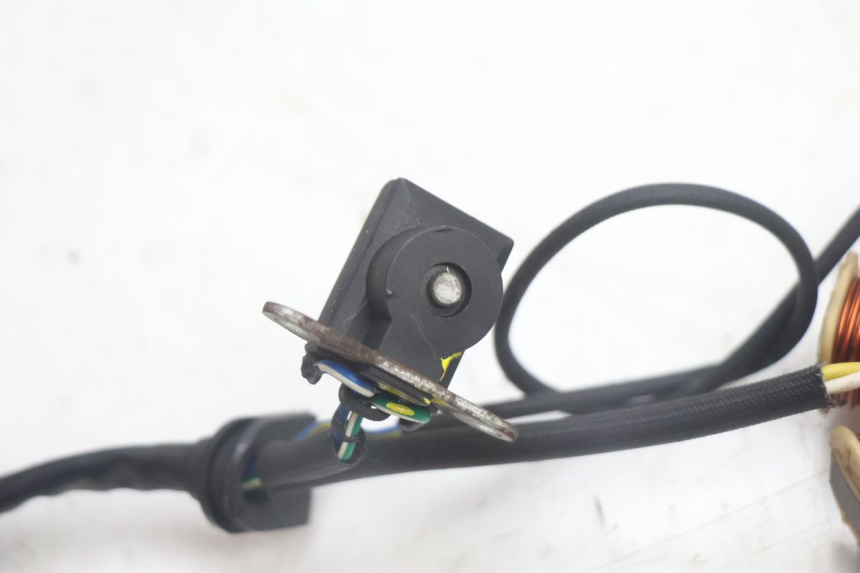 photo de ROTOR STATOR JM MOTORS EVOLIS 4T 50 (2018 - 2022) - Vue d’ensemble