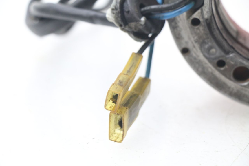 photo de ROTOR STATOR MAICO MX 320 (1993 - 1994)