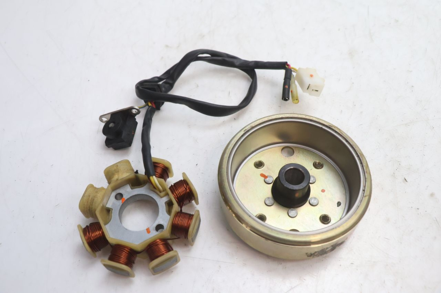 photo de ROTOR STATOR TNT MOTOR ROMA 10' 4T 50 (2007 - 2018) - Détail de la pièce