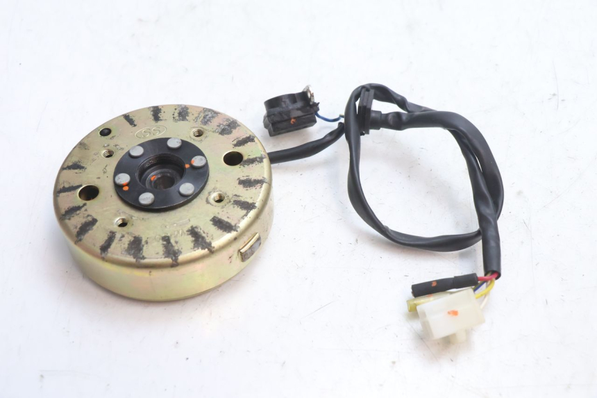 photo de ROTOR STATOR TNT MOTOR ROMA 10' 4T 50 (2007 - 2018) - Zoom état d’usage