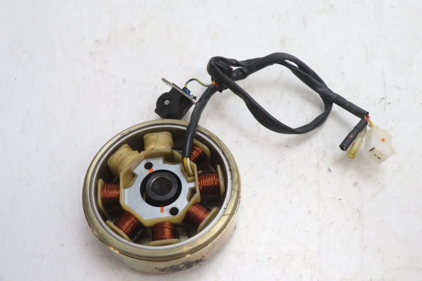 photo de ROTOR STATOR TNT MOTOR ROMA 10' 4T 50 (2007 - 2018) - Autre angle de vue