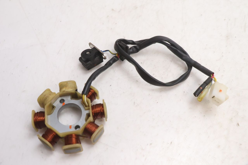 photo de ROTOR STATOR TNT MOTOR ROMA 10' 4T 50 (2007 - 2018) - Gros plan technique