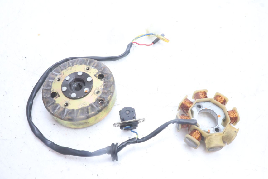 photo de ROTOR STATOR TNT MOTOR ROMA 10' 4T 50 (2007 - 2018) - Vue principale