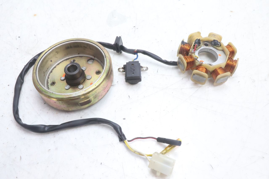 photo de ROTOR STATOR TNT MOTOR ROMA 10' 4T 50 (2007 - 2018) - Détail de la pièce