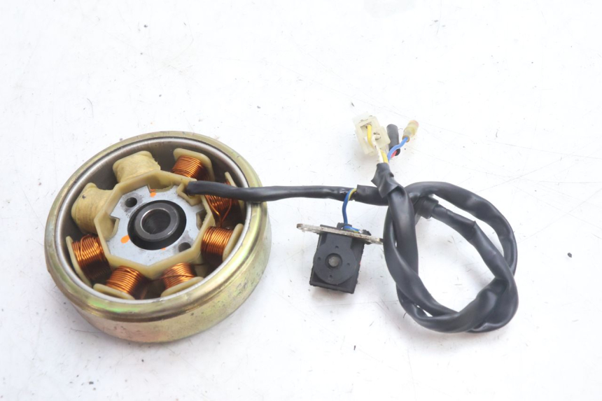photo de ROTOR STATOR TNT MOTOR ROMA 10' 4T 50 (2007 - 2018) - Autre angle de vue
