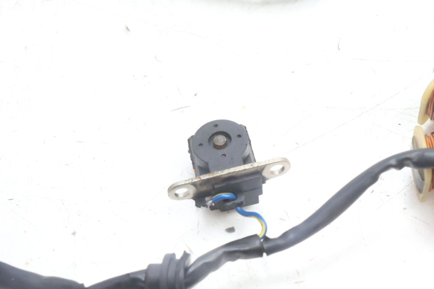 photo de ROTOR STATOR TNT MOTOR ROMA 10' 4T 50 (2007 - 2018) - Pièce contrôlée