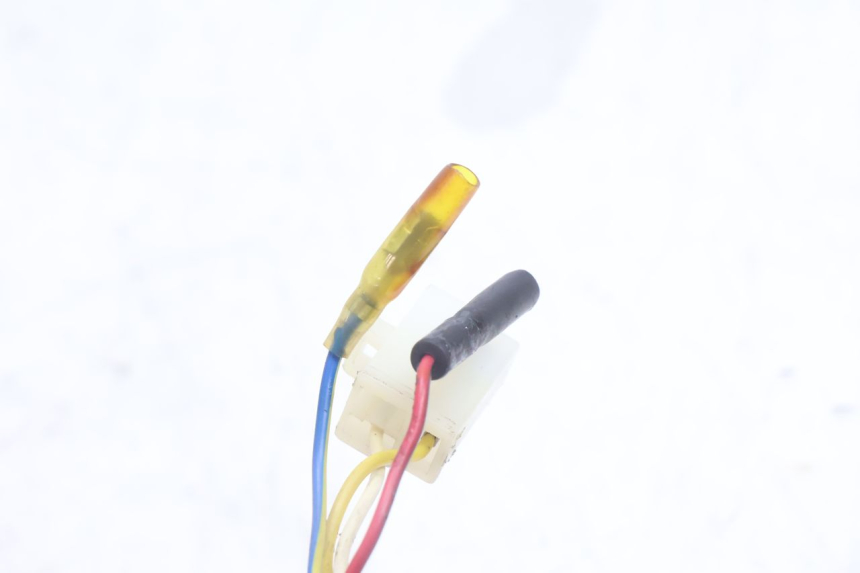 photo de ROTOR STATOR TNT MOTOR ROMA 10' 4T 50 (2007 - 2018) - Marquages et références