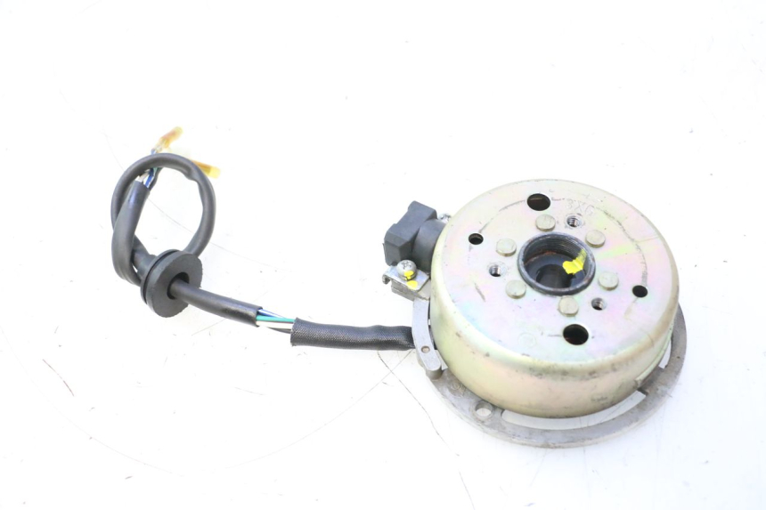 photo de ROTOR STATOR TNT MOTOR ROMA 12' 2T 50 (2007 - 2018) - Détail de la pièce