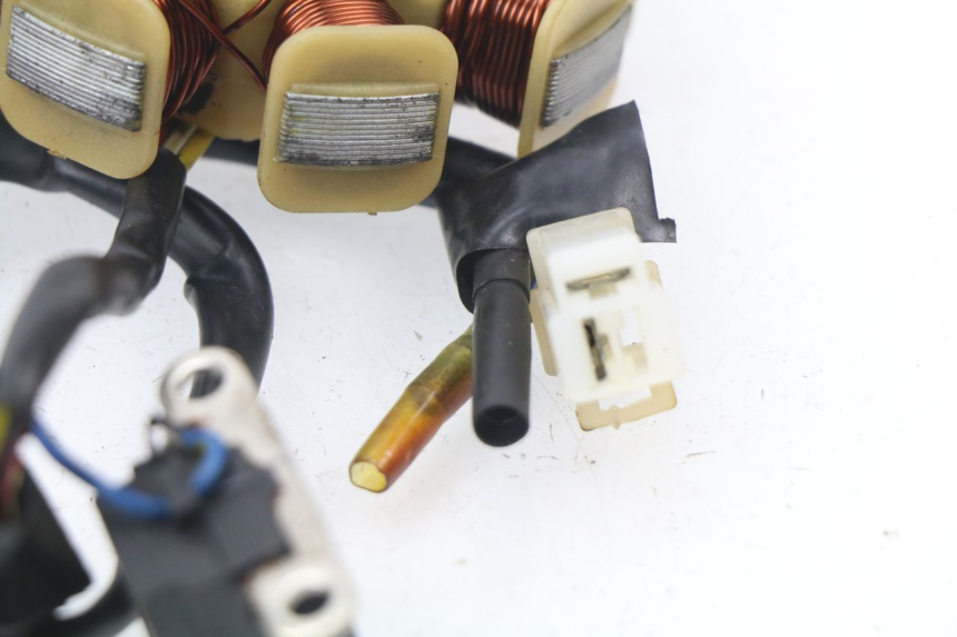 photo de ROTOR STATOR JM MOTORS SUNNY 50 (2017 - 2020)