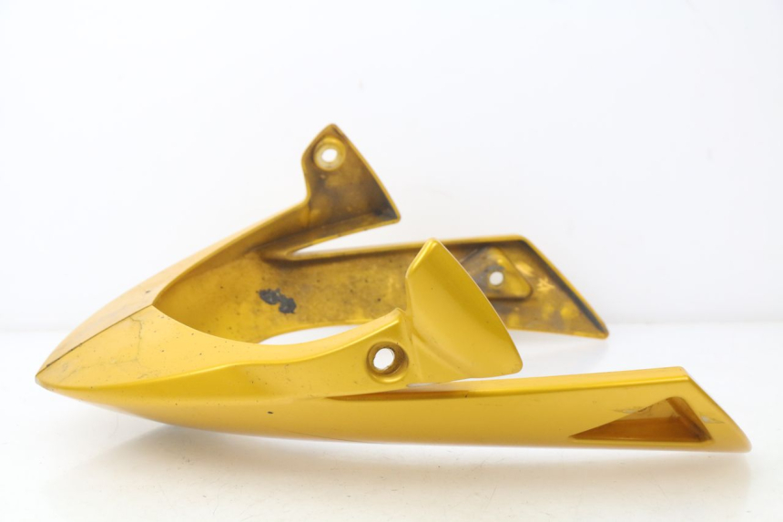 photo de SABOT MOTEUR TRIUMPH SPEED TRIPLE 1050 (2005 - 2007)