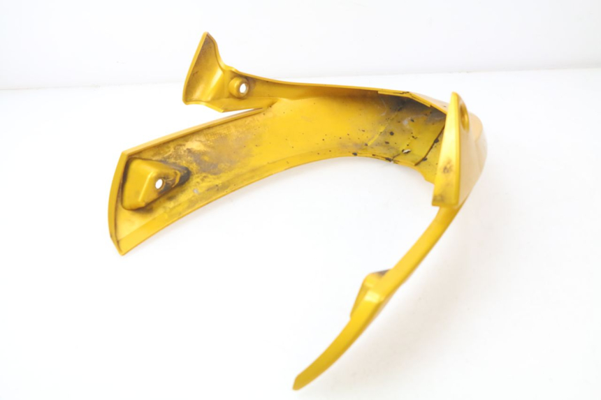 photo de SABOT MOTEUR TRIUMPH SPEED TRIPLE 1050 (2005 - 2007)