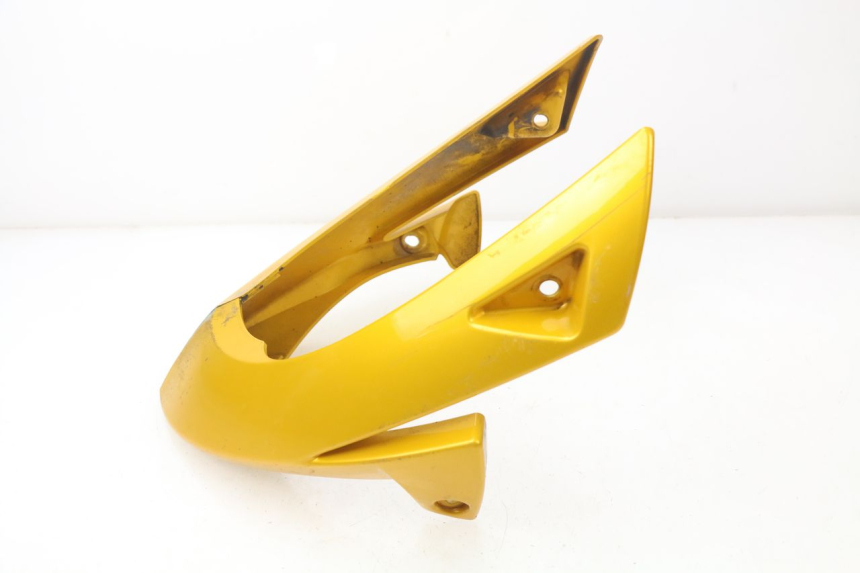 photo de SABOT MOTEUR TRIUMPH SPEED TRIPLE 1050 (2005 - 2007)