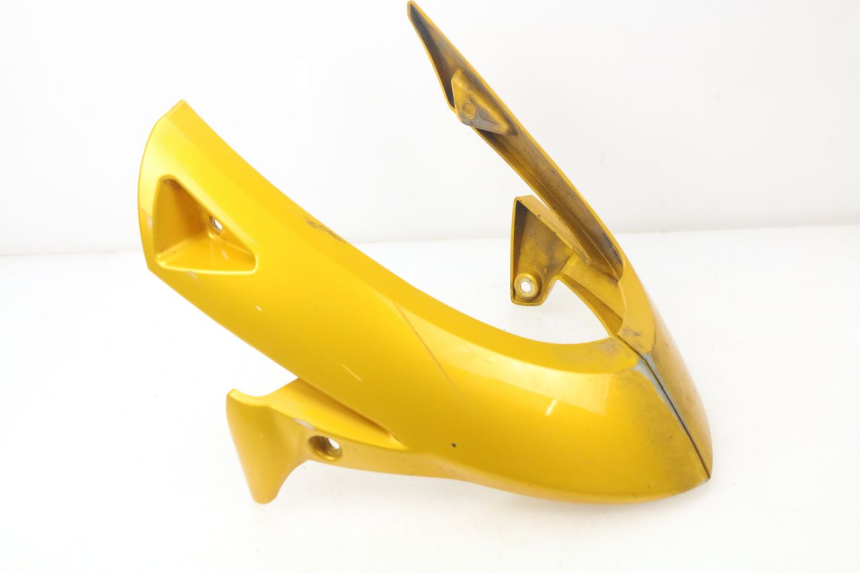 photo de SABOT MOTEUR TRIUMPH SPEED TRIPLE 1050 (2005 - 2007)