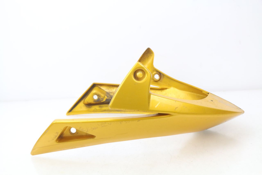 photo de SABOT MOTEUR TRIUMPH SPEED TRIPLE 1050 (2005 - 2007)