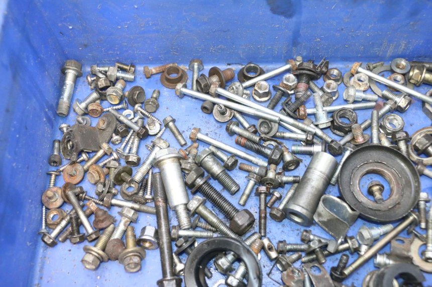 photo de SAC VISSERIE VIS HONDA FES PANTHEON 2T 125 (1998 - 2002) - Gros plan technique