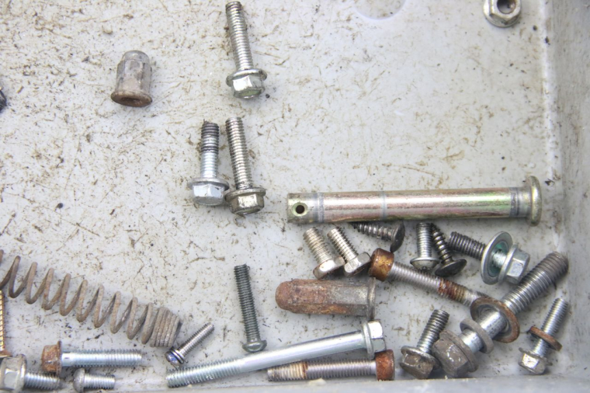 photo de SAC VISSERIE VIS VENESI LOWIGI RETRO JJ50QT-3 50 (2020 - 2022)