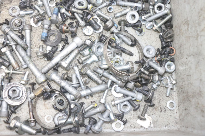 photo de SAC VISSERIE VIS PIAGGIO MP3 HPE 300 (2019 - 2026) - Gros plan technique