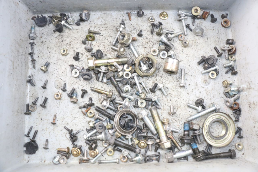 photo de SAC VISSERIE VIS DAELIM S3 125 (2010 - 2017)