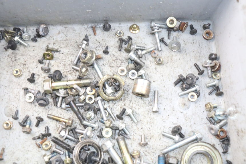 photo de SAC VISSERIE VIS DAELIM S3 125 (2010 - 2017)