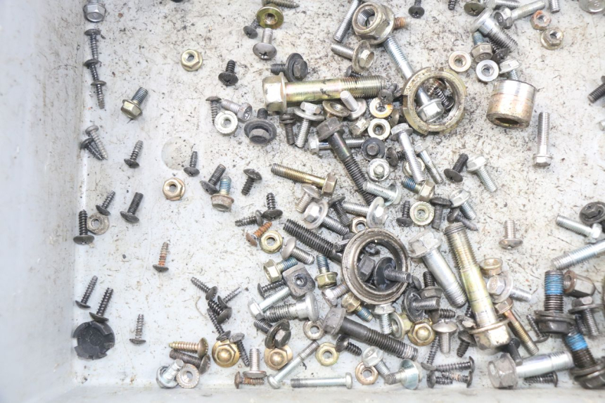 photo de SAC VISSERIE VIS DAELIM S3 125 (2010 - 2017)