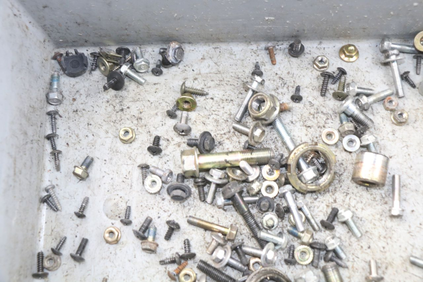 photo de SAC VISSERIE VIS DAELIM S3 125 (2010 - 2017)