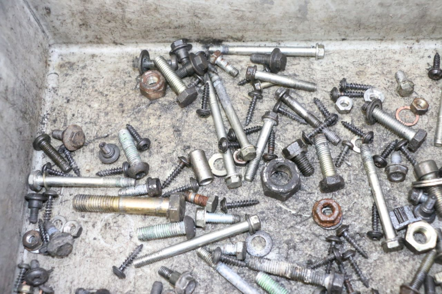 photo de SAC VISSERIE VIS PEUGEOT SATELIS 125 (2006 - 2009)