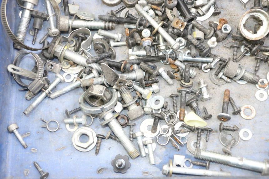 photo de SAC VISSERIE VIS PIAGGIO XEVO - X EVO 125 (2007 - 2016) - Zoom état d’usage