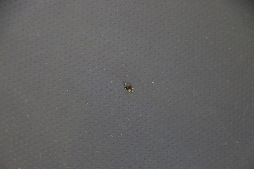 photo de SELLE STAHO FH 50 (2018 - 2019)