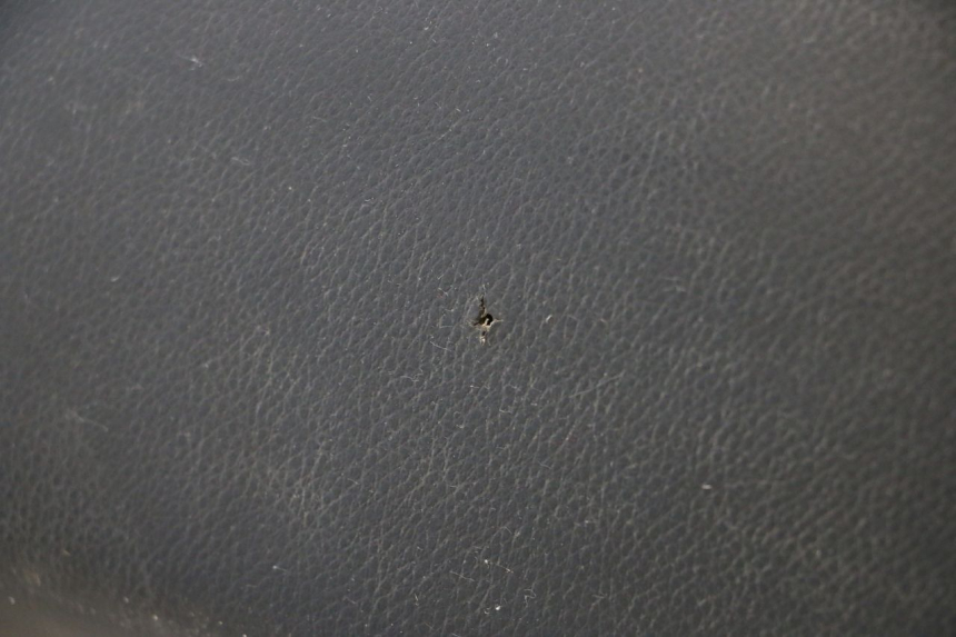 photo de SELLE PEUGEOT LUDIX ONE 50 (2004 - 2013) - Autre angle de vue